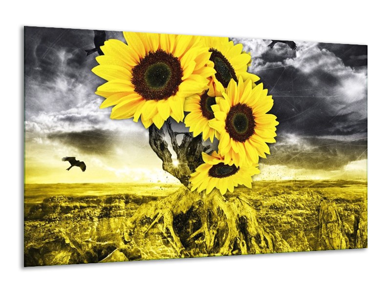 Glas schilderij Zonnebloem | Geel, Grijs | 120x70cm 1Luik