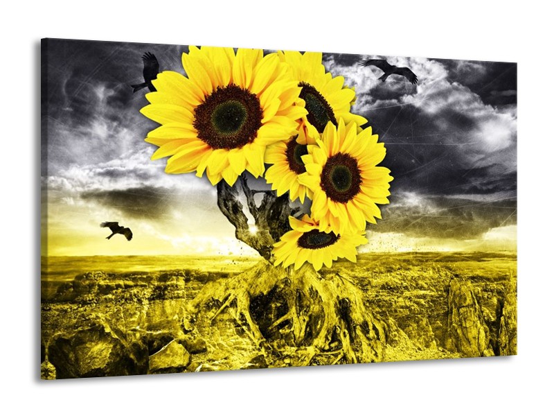 Glas schilderij Zonnebloem | Geel, Grijs | 140x90cm 1Luik