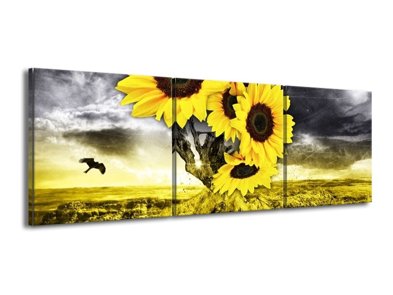 Canvas schilderij Zonnebloem | Geel, Grijs | 150x50cm 3Luik