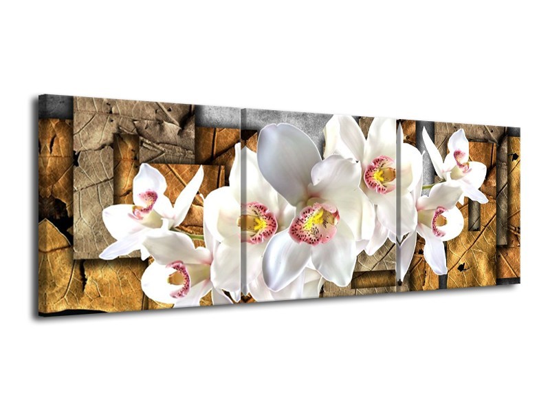 Canvas schilderij Orchidee | Grijs, Bruin, Wit | 120x40cm 3Luik