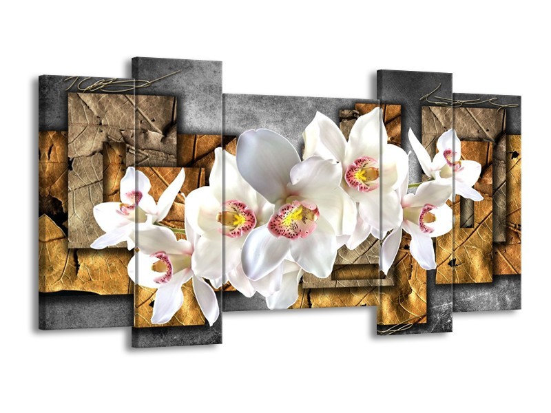 Canvas schilderij Orchidee | Grijs, Bruin, Wit | 120x65 5Luik