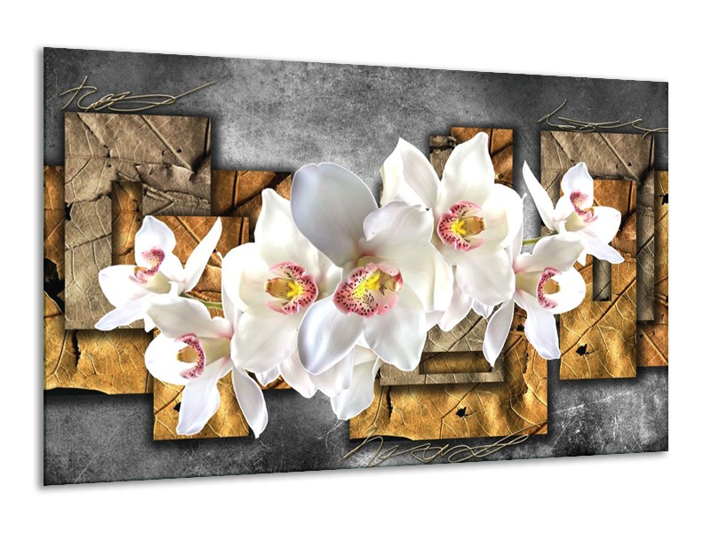 Glas schilderij Orchidee | Grijs, Bruin, Wit | 120x70cm 1Luik