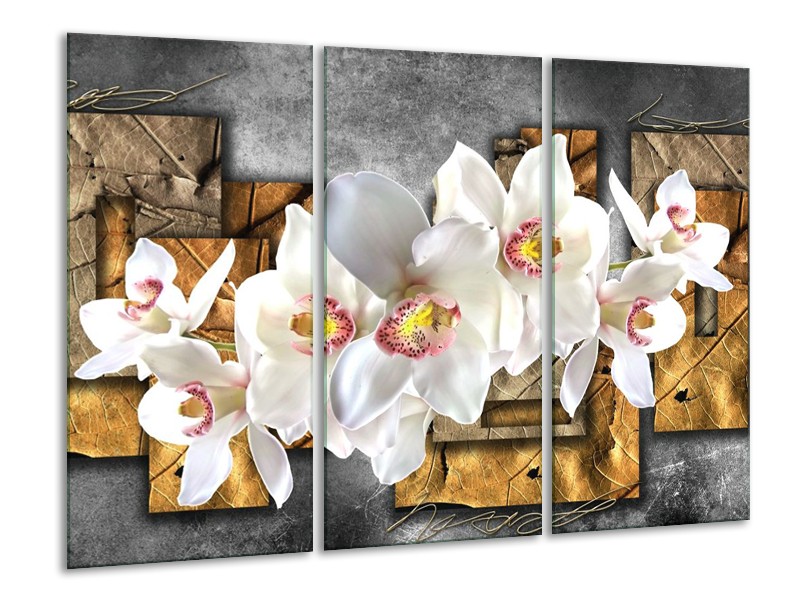 Canvas schilderij Orchidee | Grijs, Bruin, Wit | 120x80cm 3Luik