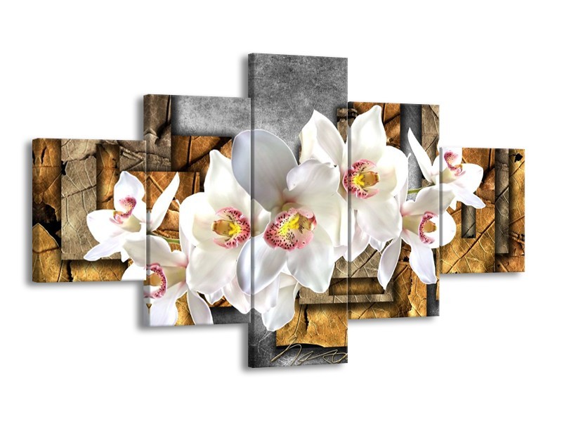 Glas schilderij Orchidee | Grijs, Bruin, Wit | 125x70cm 5Luik