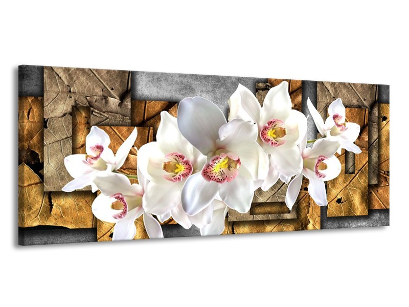 Canvas schilderij Orchidee | Grijs, Bruin, Wit | 145x58cm 1Luik
