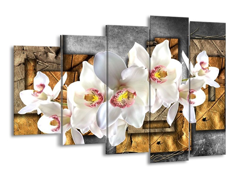 Canvas schilderij Orchidee | Grijs, Bruin, Wit | 150x100cm 5Luik