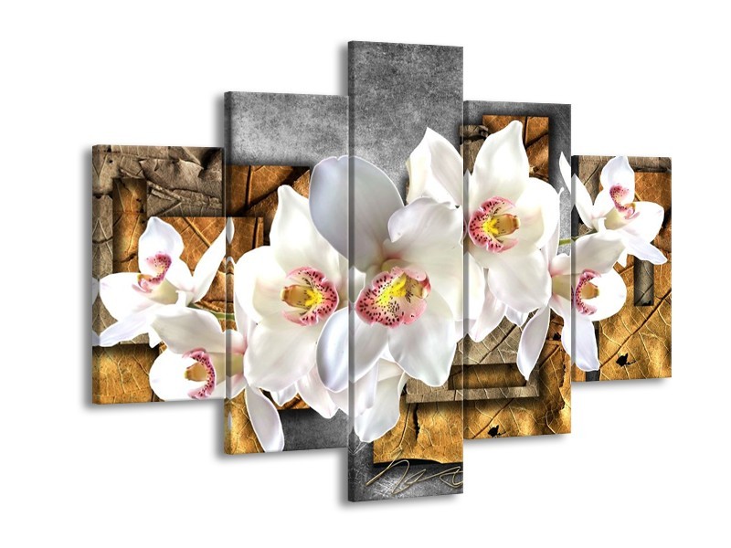 Glas schilderij Orchidee | Grijs, Bruin, Wit | 150x105cm 5Luik