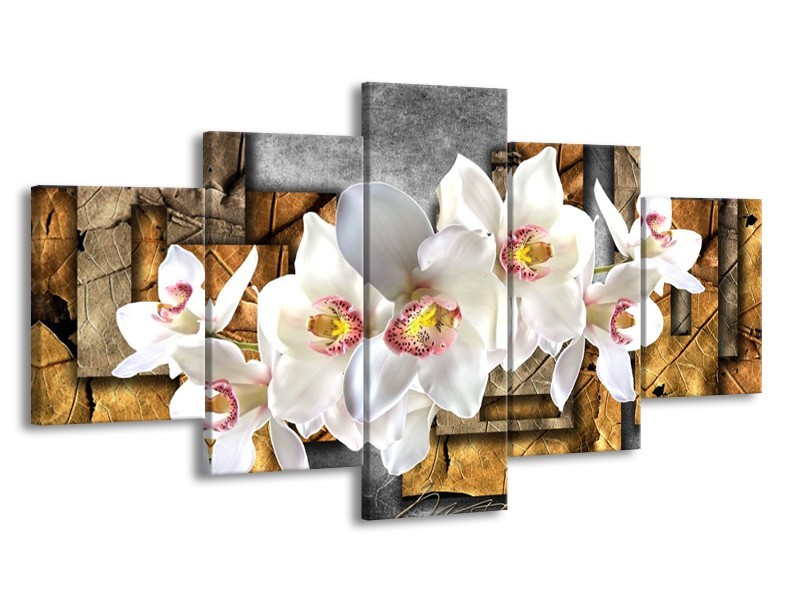 Glas schilderij Orchidee | Grijs, Bruin, Wit | 150x80cm 5Luik