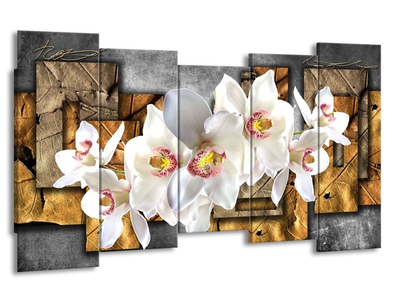 Canvas schilderij Orchidee | Grijs, Bruin, Wit | 150x80cm 5Luik