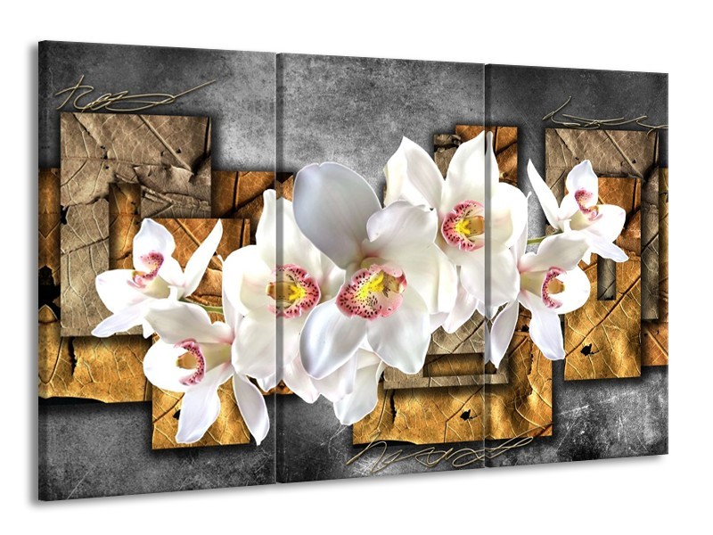 Canvas schilderij Orchidee | Grijs, Bruin, Wit | 165x100cm 3Luik