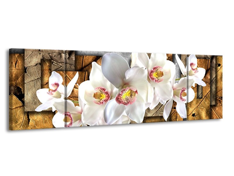 Canvas schilderij Orchidee | Grijs, Bruin, Wit | 170x50cm 3Luik