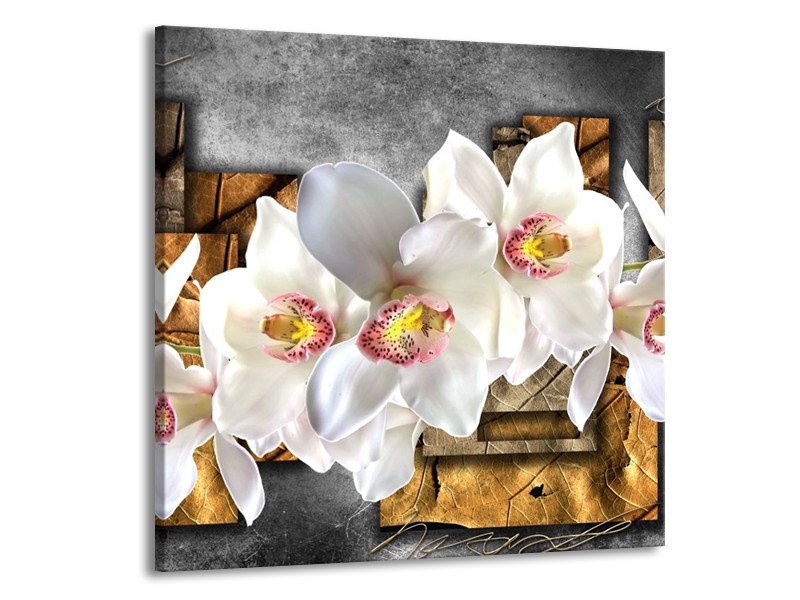 Canvas schilderij Orchidee | Grijs, Bruin, Wit | 50x50cm 1Luik