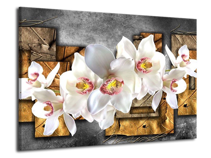 Canvas schilderij Orchidee | Grijs, Bruin, Wit | 70x50cm 1Luik