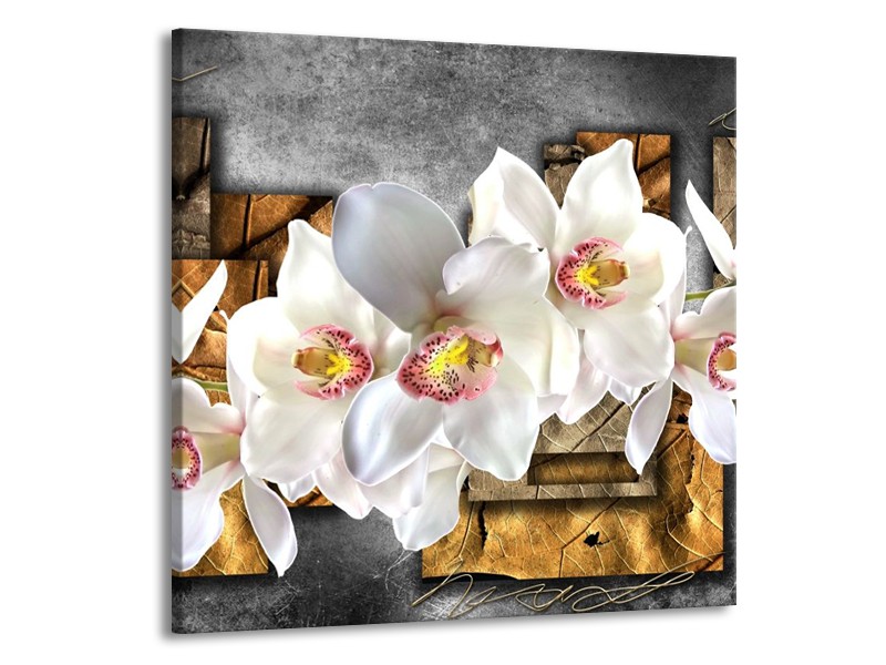 Canvas schilderij Orchidee | Grijs, Bruin, Wit | 70x70cm 1Luik