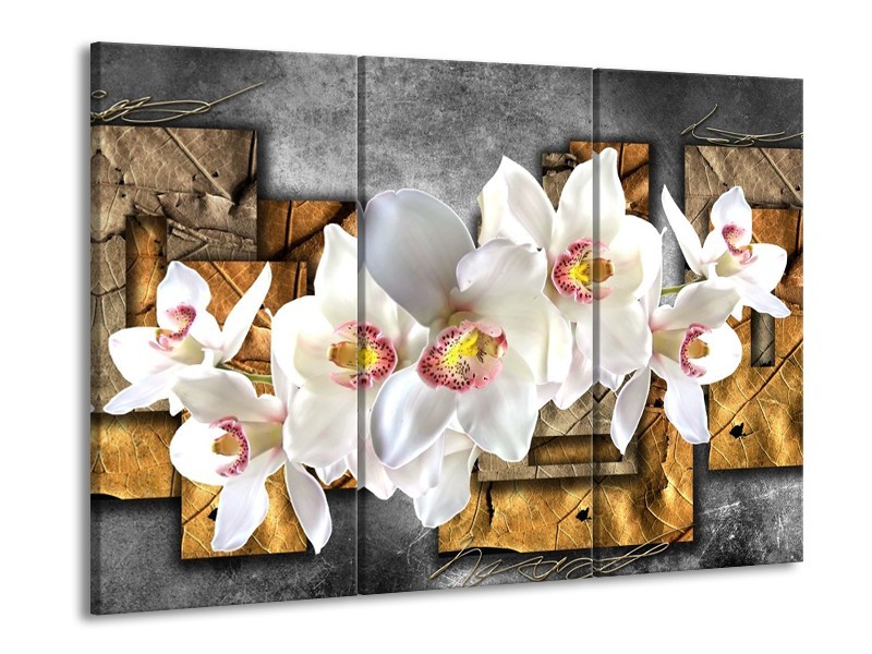 Canvas schilderij Orchidee | Grijs, Bruin, Wit | 90x60cm 3Luik