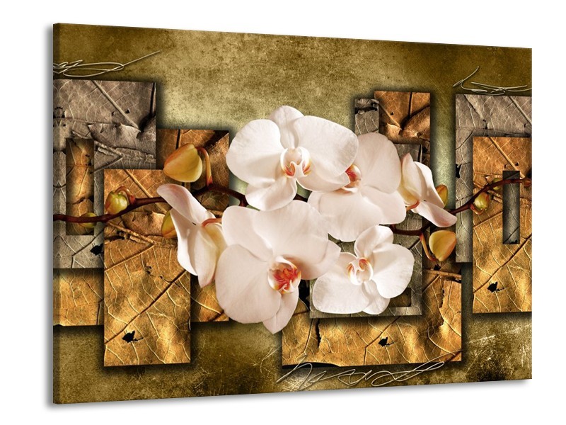 Canvas schilderij Orchidee | Bruin, Crème | 100x70cm 1Luik