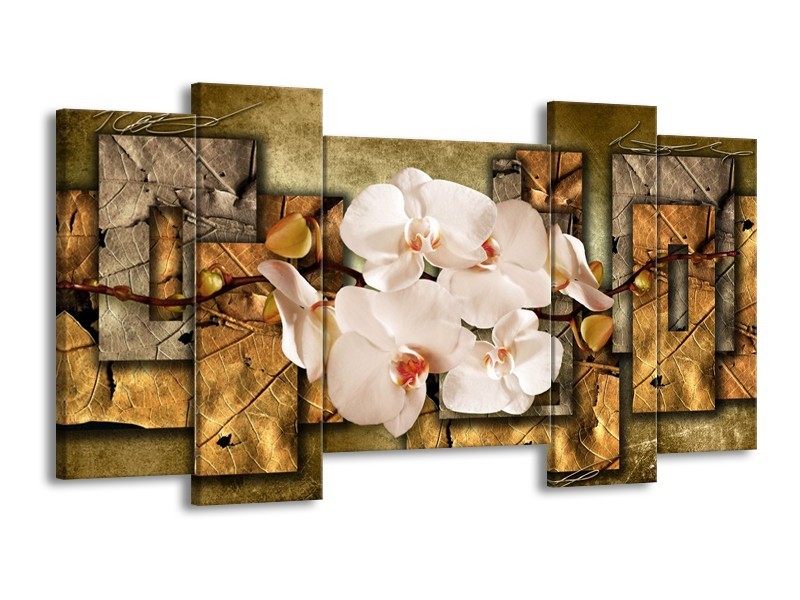 Canvas schilderij Orchidee | Bruin, Crème | 120x65 5Luik