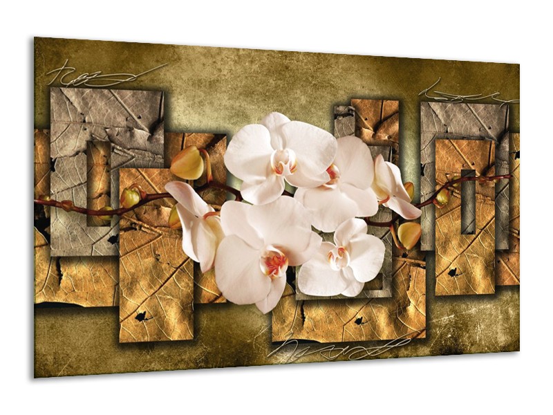 Glas schilderij Orchidee | Bruin, Crème | 120x70cm 1Luik