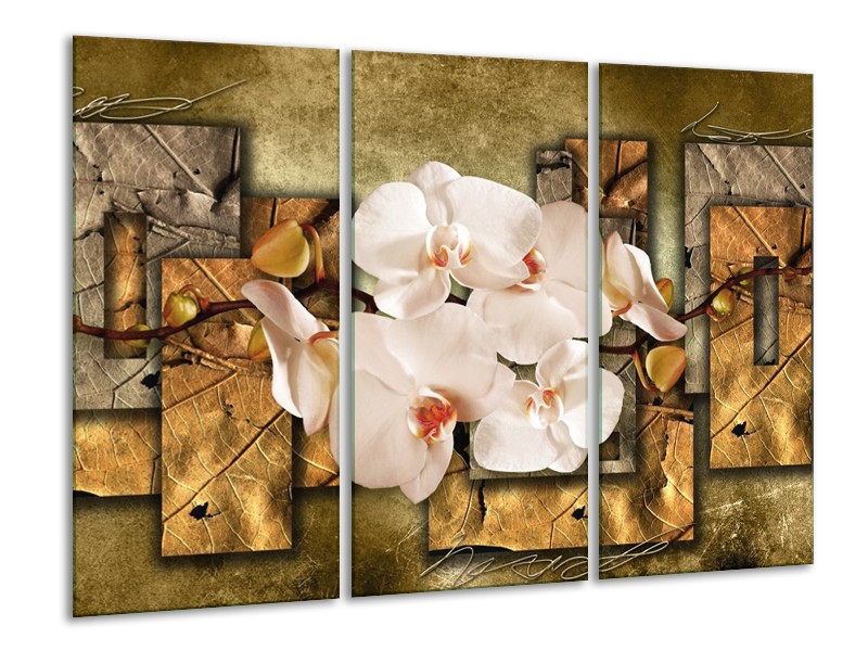 Canvas schilderij Orchidee | Bruin, Crème | 120x80cm 3Luik
