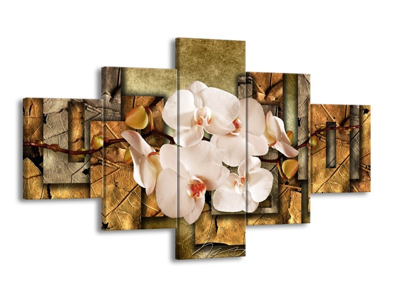 Canvas schilderij Orchidee | Bruin, Crème | 125x70cm 5Luik