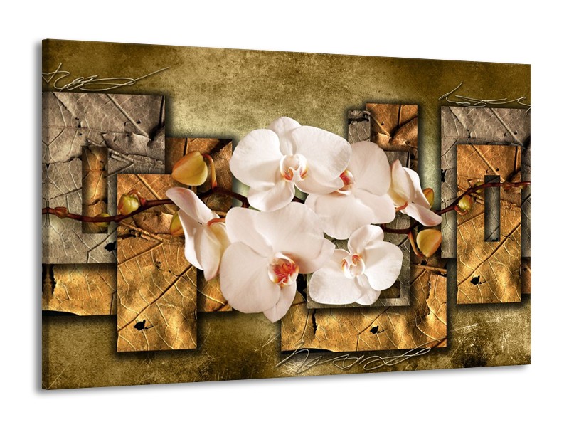 Glas schilderij Orchidee | Bruin, Crème | 140x90cm 1Luik
