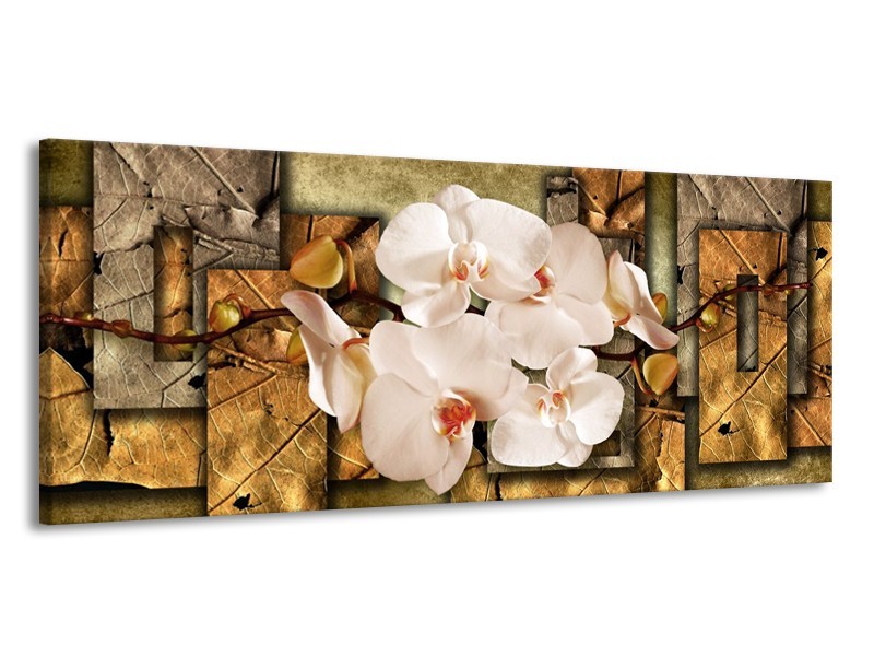 Glas schilderij Orchidee | Bruin, Crème | 145x58cm 1Luik