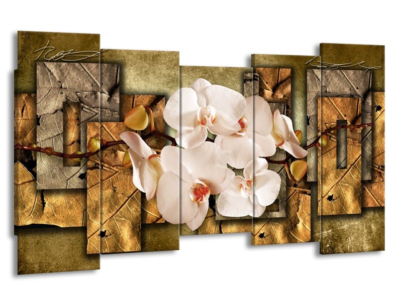 Canvas schilderij Orchidee | Bruin, Crème | 150x80cm 5Luik