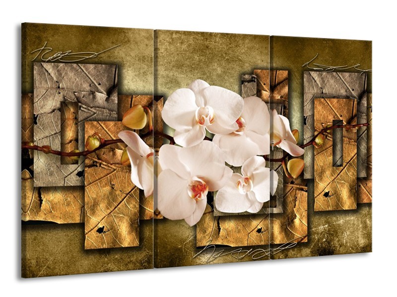 Canvas schilderij Orchidee | Bruin, Crème | 165x100cm 3Luik