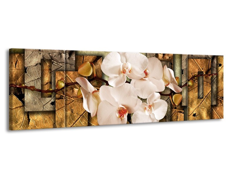Canvas schilderij Orchidee | Bruin, Crème | 170x50cm 3Luik