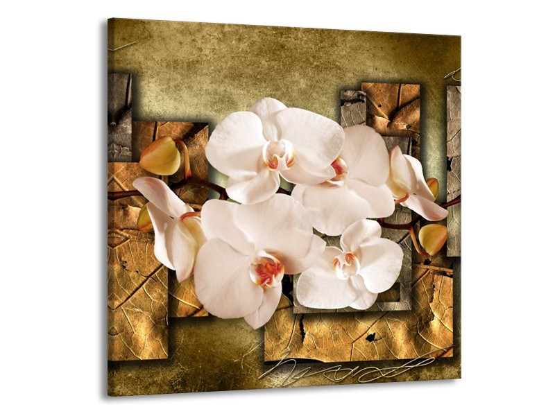 Canvas schilderij Orchidee | Bruin, Crème | 70x70cm 1Luik