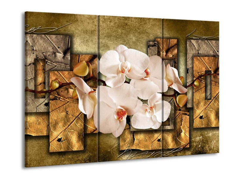 Glas schilderij Orchidee | Bruin, Crème | 90x60cm 3Luik