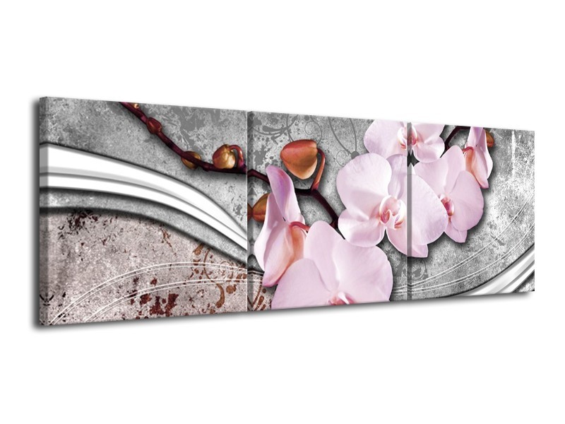 Canvas schilderij Orchidee | Roze, Grijs | 120x40cm 3Luik