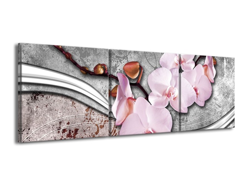 Glas schilderij Orchidee | Roze, Grijs | 150x50cm 3Luik