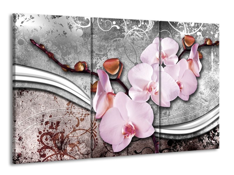 Canvas schilderij Orchidee | Roze, Grijs | 165x100cm 3Luik