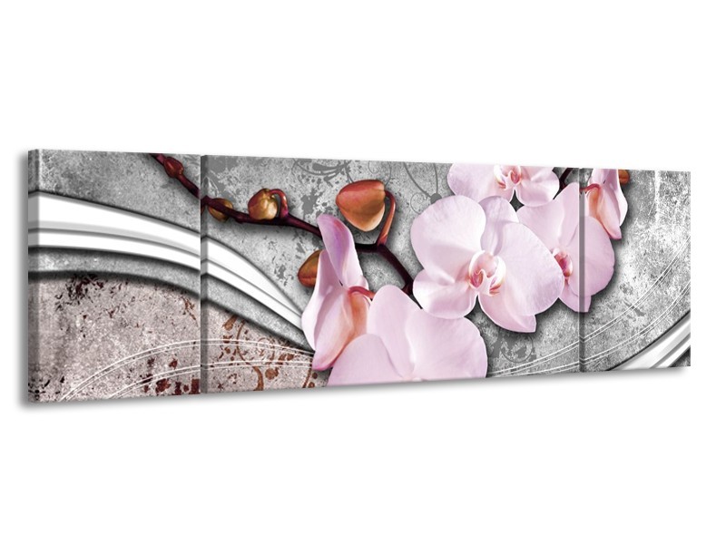 Glas schilderij Orchidee | Roze, Grijs | 170x50cm 3Luik