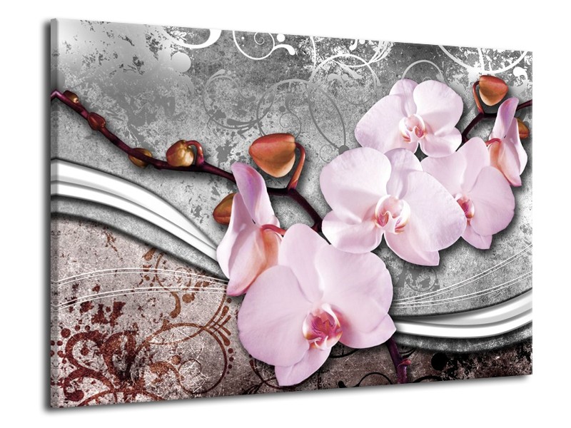 Canvas schilderij Orchidee | Roze, Grijs | 70x50cm 1Luik