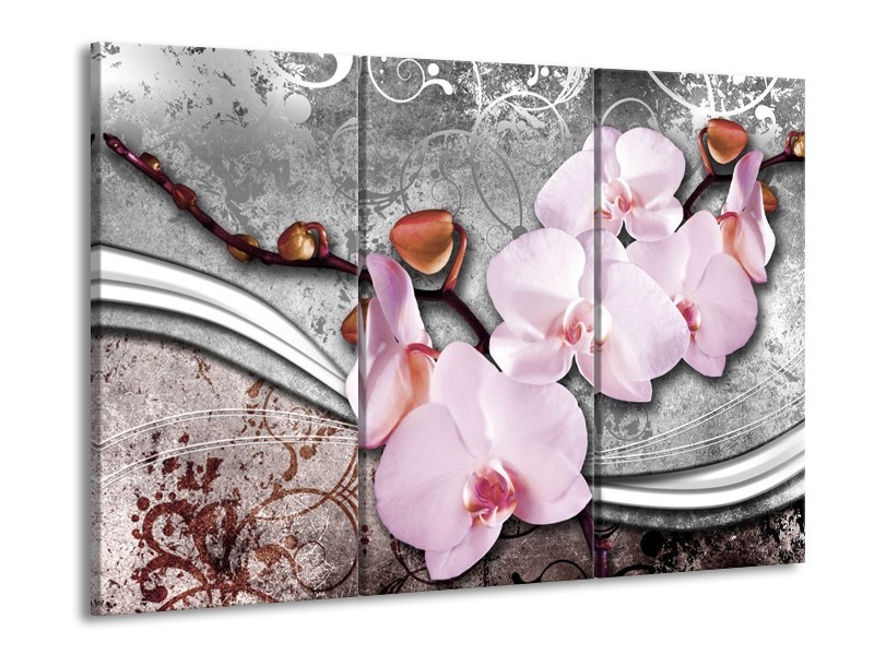 Canvas schilderij Orchidee | Roze, Grijs | 90x60cm 3Luik