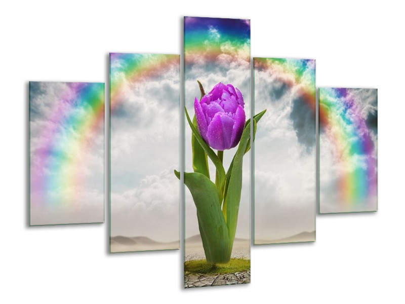 Glas schilderij Tulp | Paars, Grijs, Groen | 100x70cm 5Luik