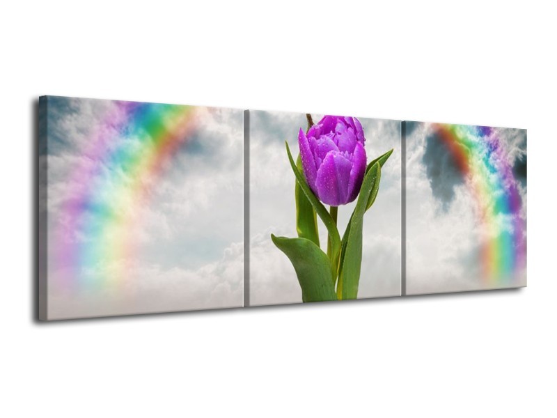 Glas schilderij Tulp | Paars, Grijs, Groen | 120x40cm 3Luik