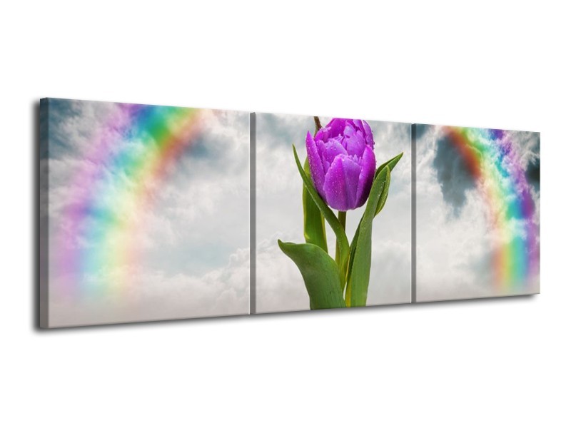 Canvas schilderij Tulp | Paars, Grijs, Groen | 120x40cm 3Luik