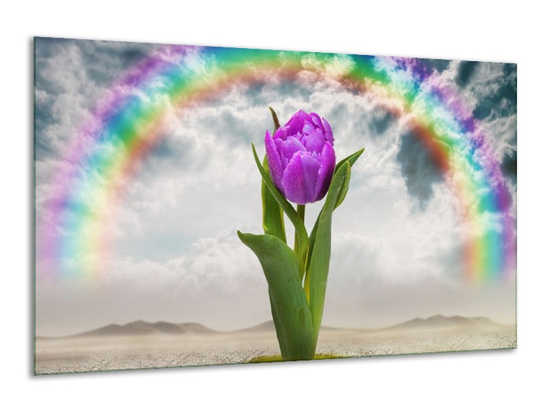 Glas schilderij Tulp | Paars, Grijs, Groen | 120x70cm 1Luik
