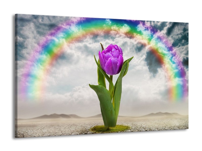 Glas schilderij Tulp | Paars, Grijs, Groen | 140x90cm 1Luik