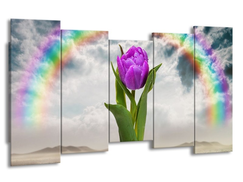 Canvas schilderij Tulp | Paars, Grijs, Groen | 150x80cm 5Luik