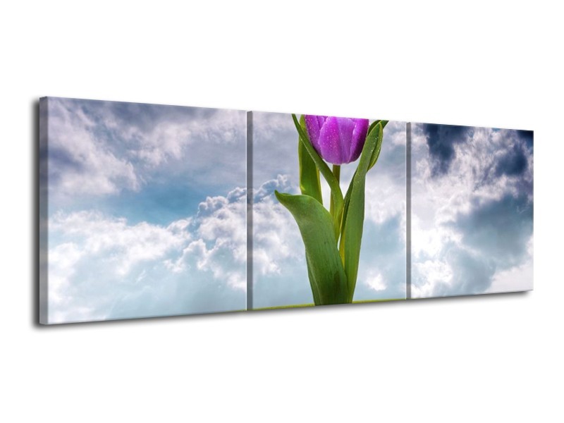 Glas schilderij Tulp | Paars, Grijs, Groen | 120x40cm 3Luik