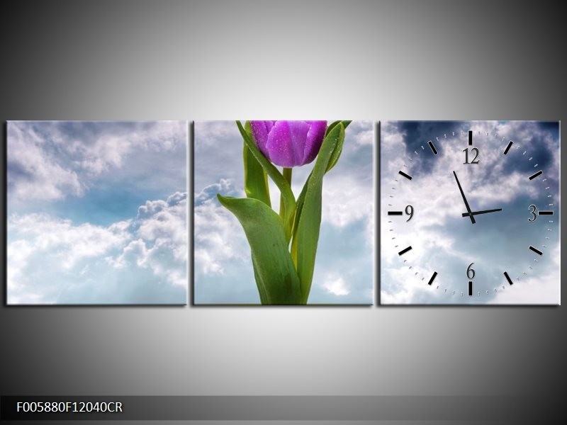 Klok schilderij Tulp | Paars, Grijs, Groen | 120x40cm 3Luik