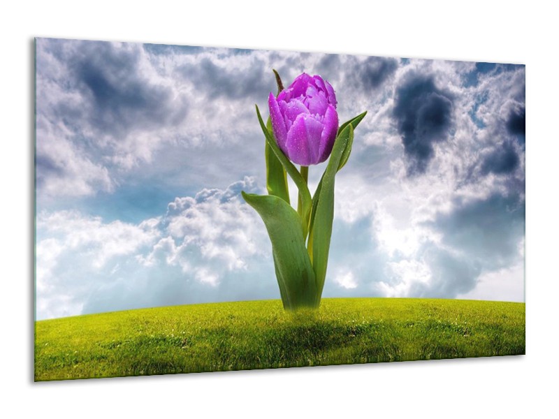 Glas schilderij Tulp | Paars, Grijs, Groen | 120x70cm 1Luik