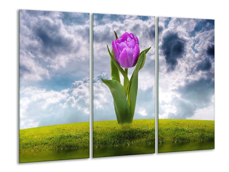 Canvas schilderij Tulp | Paars, Grijs, Groen | 120x80cm 3Luik