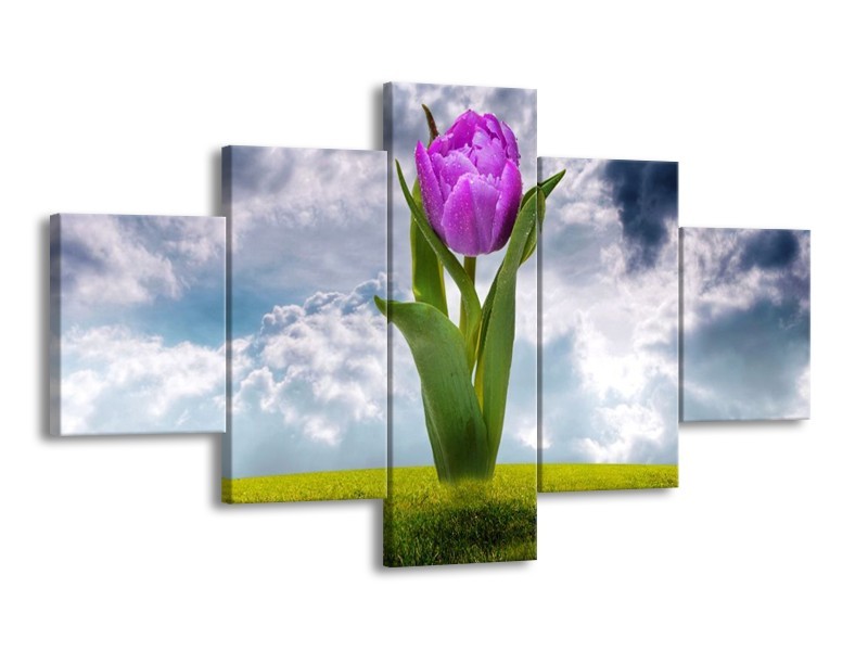 Glas schilderij Tulp | Paars, Grijs, Groen | 125x70cm 5Luik