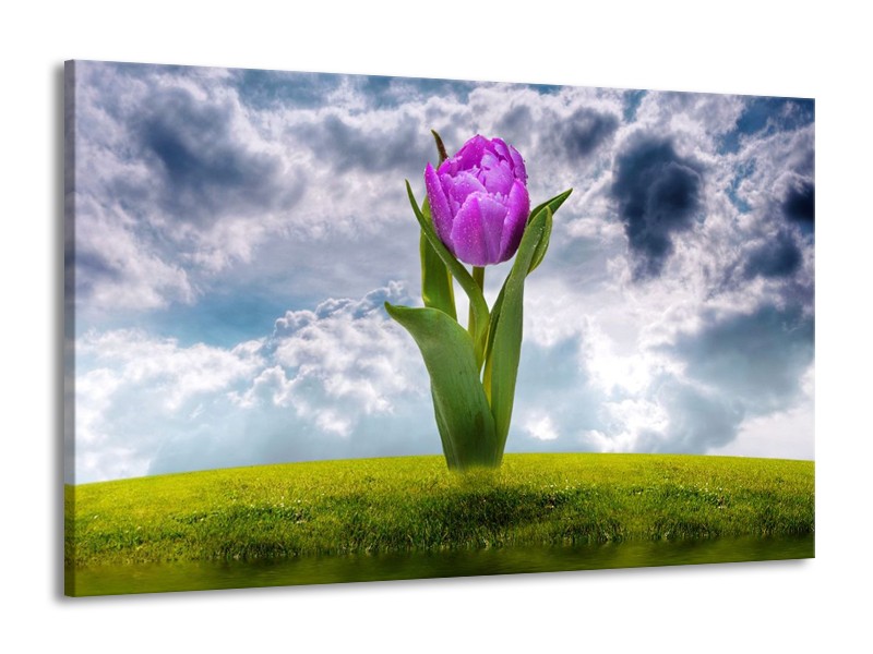 Glas schilderij Tulp | Paars, Grijs, Groen | 140x90cm 1Luik