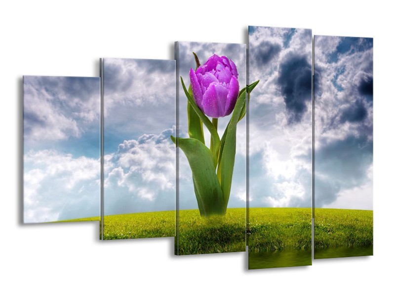 Glas schilderij Tulp | Paars, Grijs, Groen | 150x100cm 5Luik